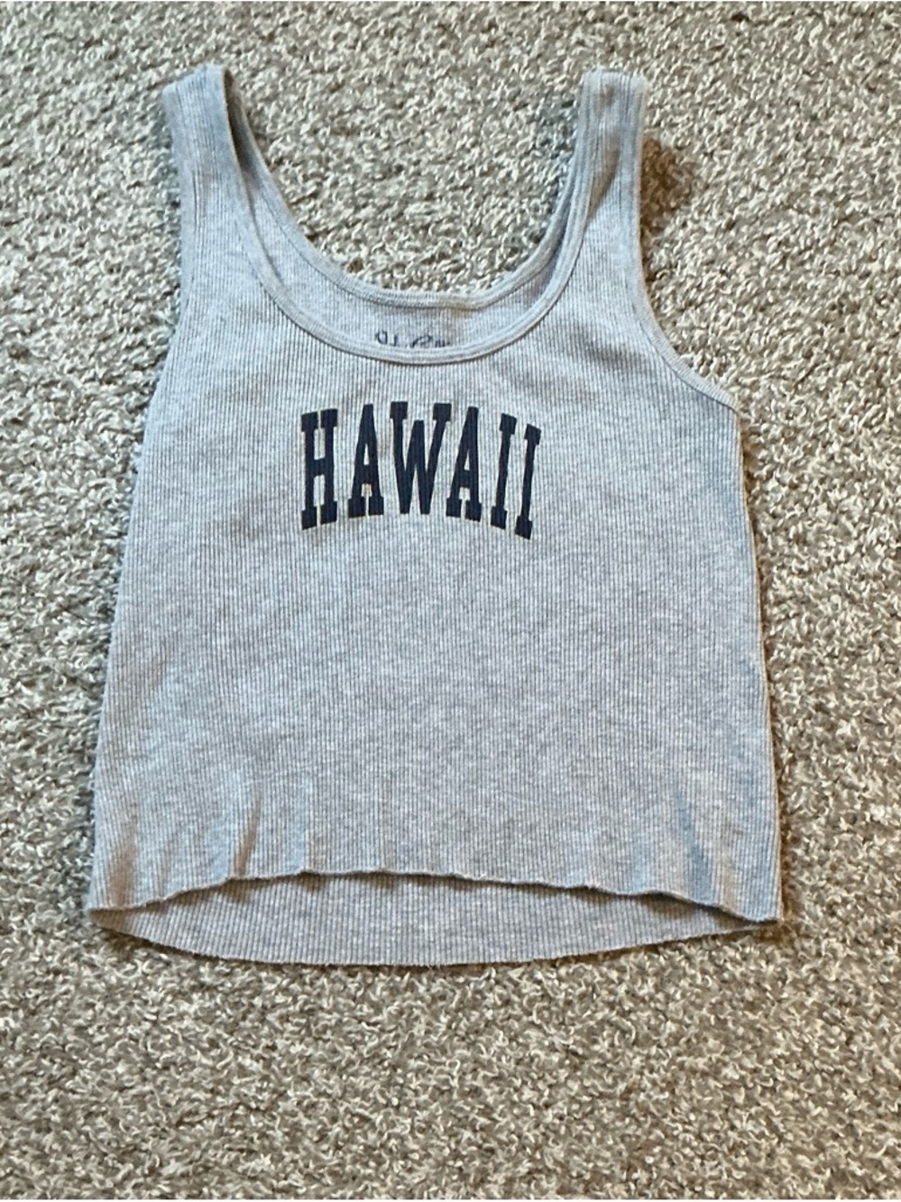 Brandy Melville Heather Gray 'HAWAII' Ribbed Tank
